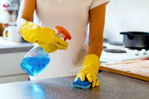 Carpet cleaner working in an East Finchley home