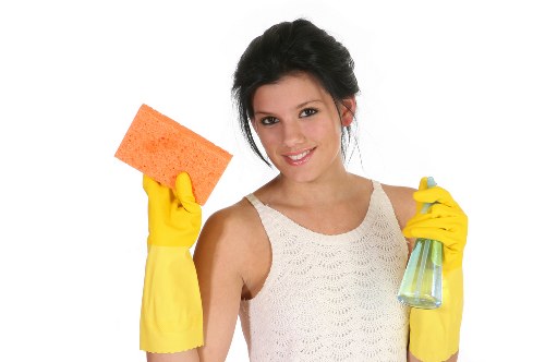 Team member reviewing a risk assessment before carpet cleaning