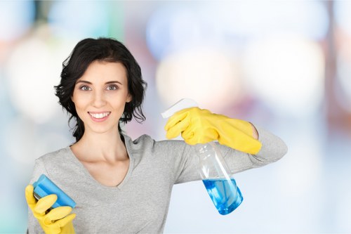 Professional carpet cleaning in a bright East Finchley living room