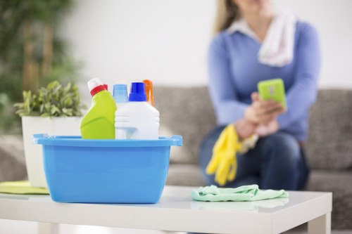 Cleaning process for carpet fibres in a home or business setting