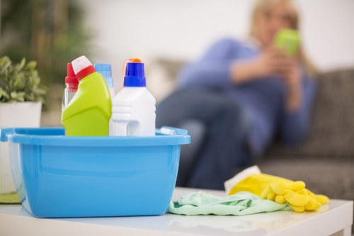 Deep treatment for lingering pet smells in upholstery