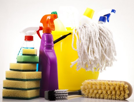 Professional cleaning for pet urine stains and odours